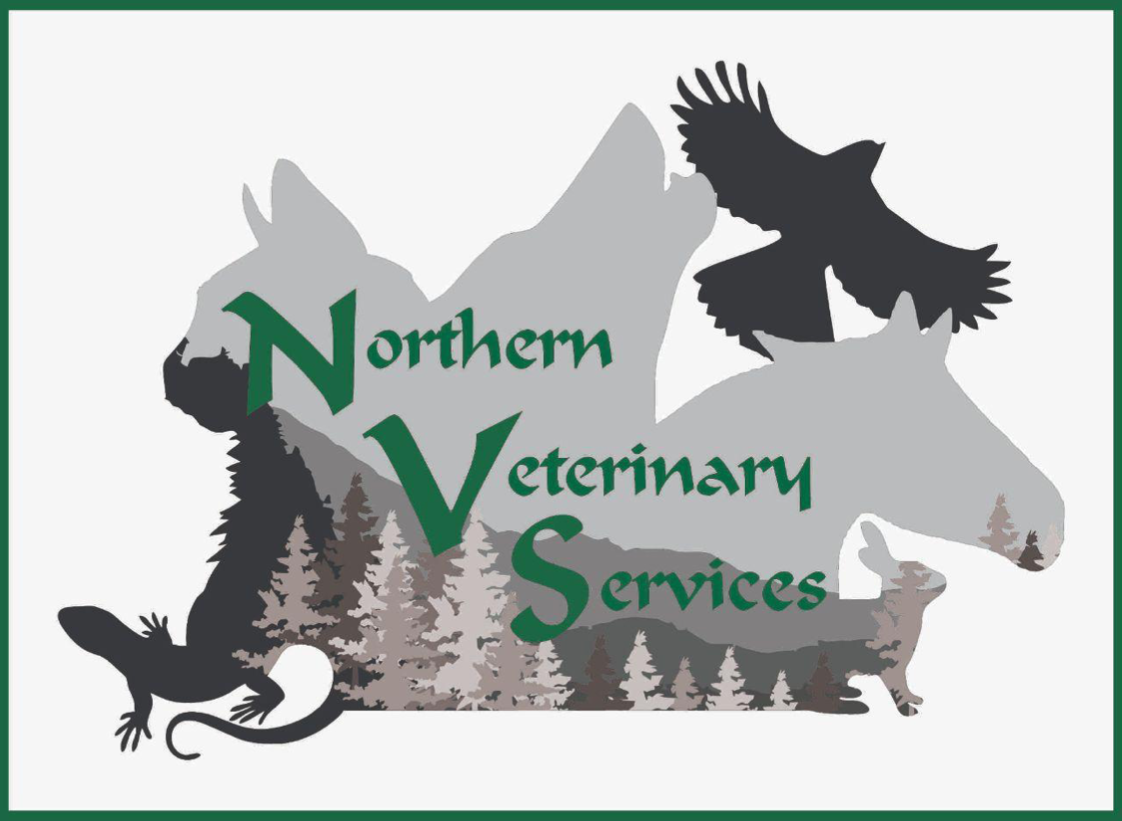 Northern Veterinary Services